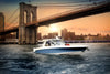 Boston Whaler-Boston Whaler-Seaview Global