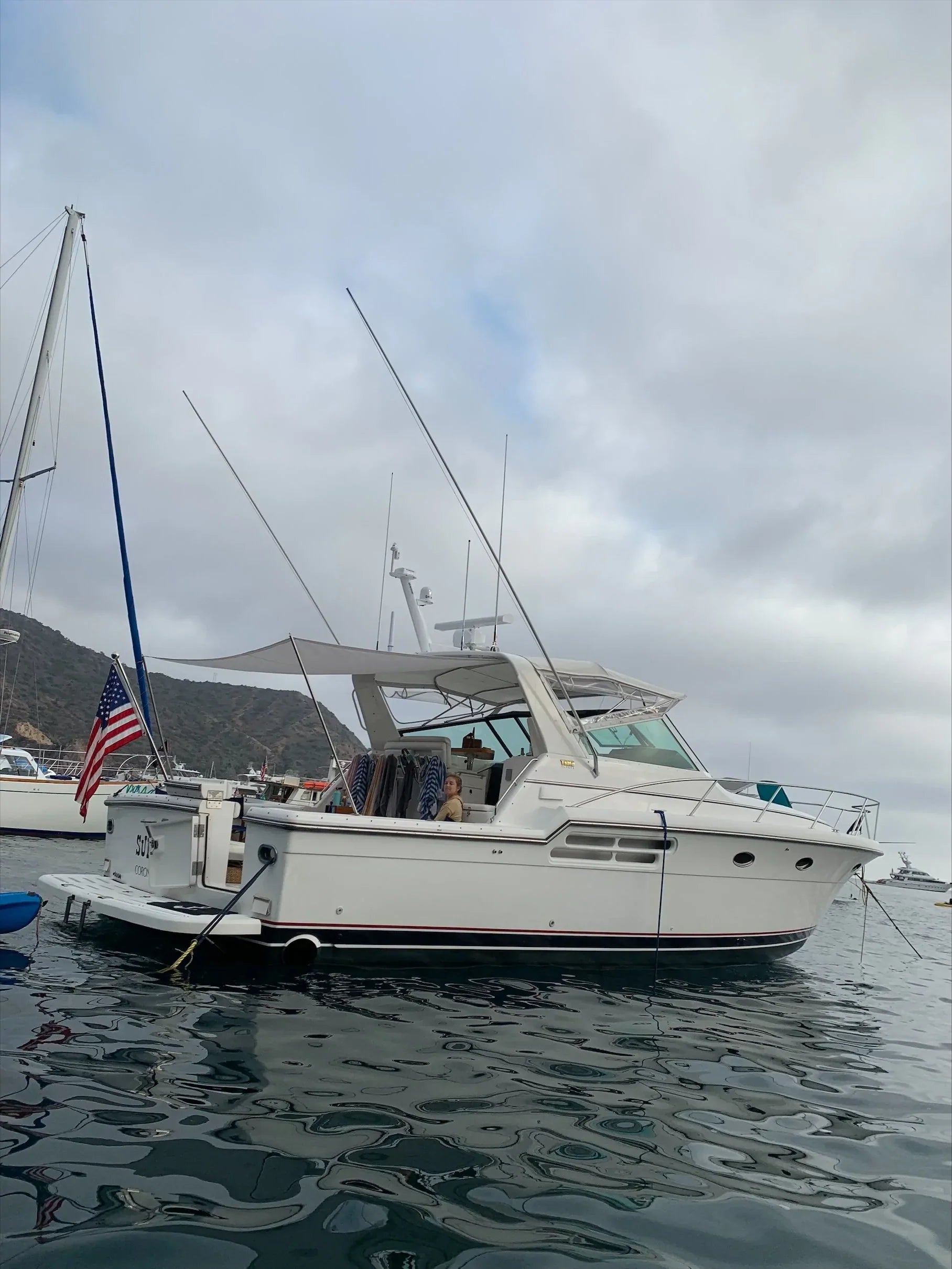 Seaview tapered mast Model #81 with spreaders on Tiara Yacht equipped with Furuno radar and FLIR camera.